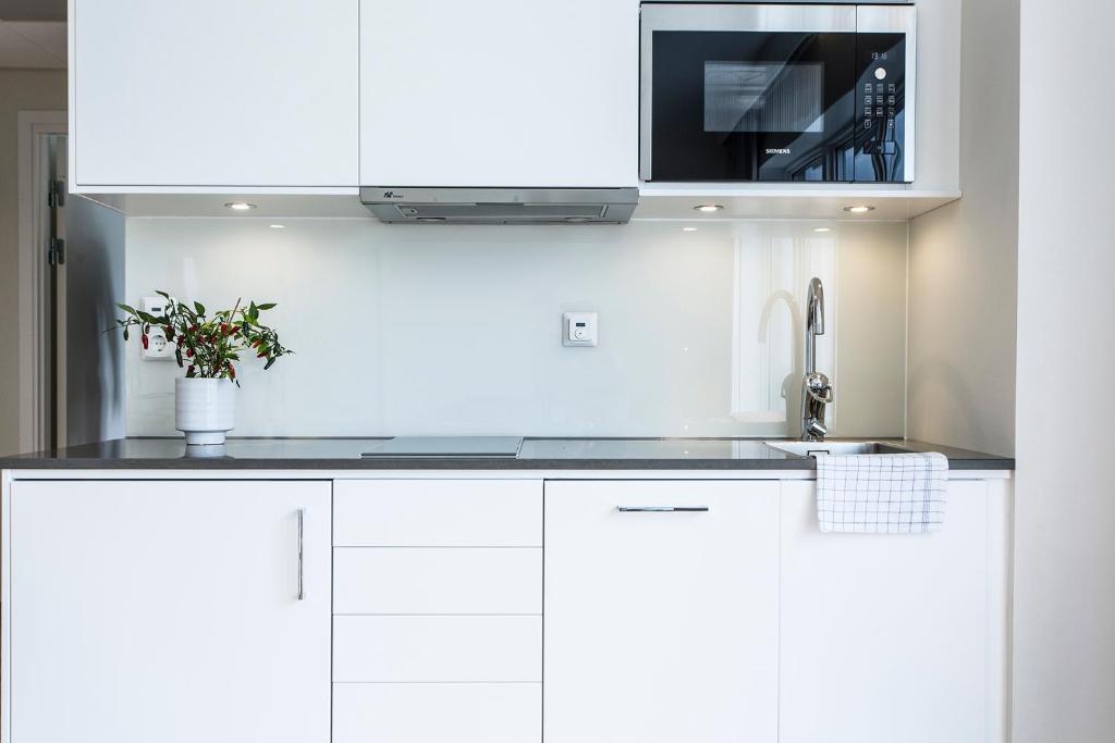 Апартаменты (Апартаменты с террасой), Biz Apartment Hammarby Sjöstad