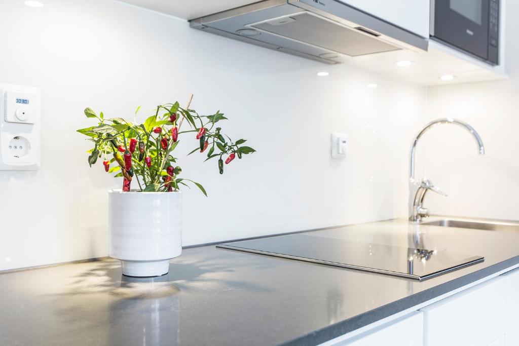Студио (Средний номер-студио), Biz Apartment Hammarby Sjöstad