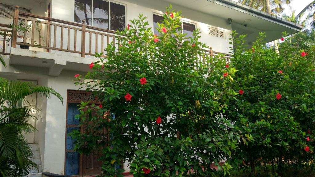 Unawatuna Apartments photo 1