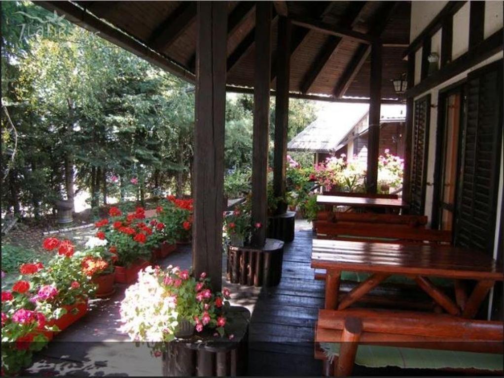 Guest House Alpska Vila photo 4