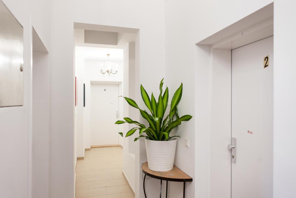 Апартаменты (Апартаменты с 1 спальней), Vienna-flats 13