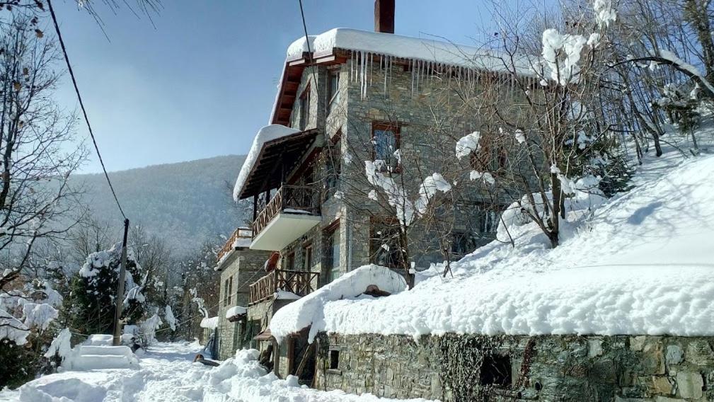 Lydia Lithos Mountain Resort photo 3