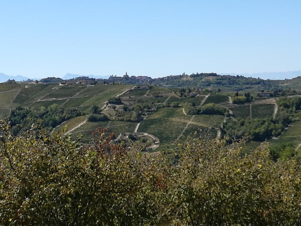 Casa Vigin photo 4