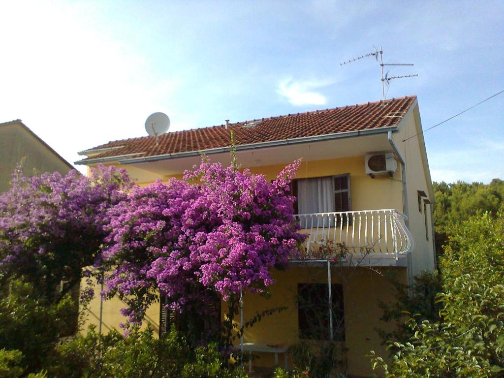 Apartments Runac photo 1