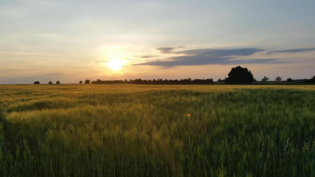 Luisenhof photo 3