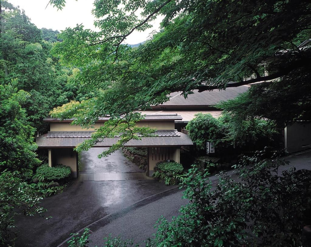 Tsubaki photo 3