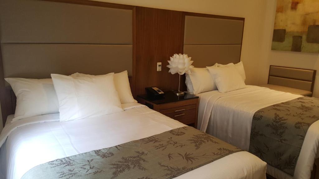 Четырехместный (Четырехместный номер с собственной ванной комнатой), Americana Inn