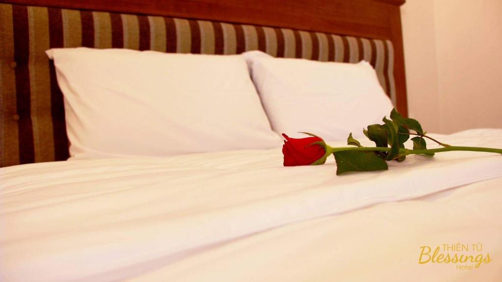 Двухместный (Двухместный номер с 1 кроватью), Thien Tu Hotel