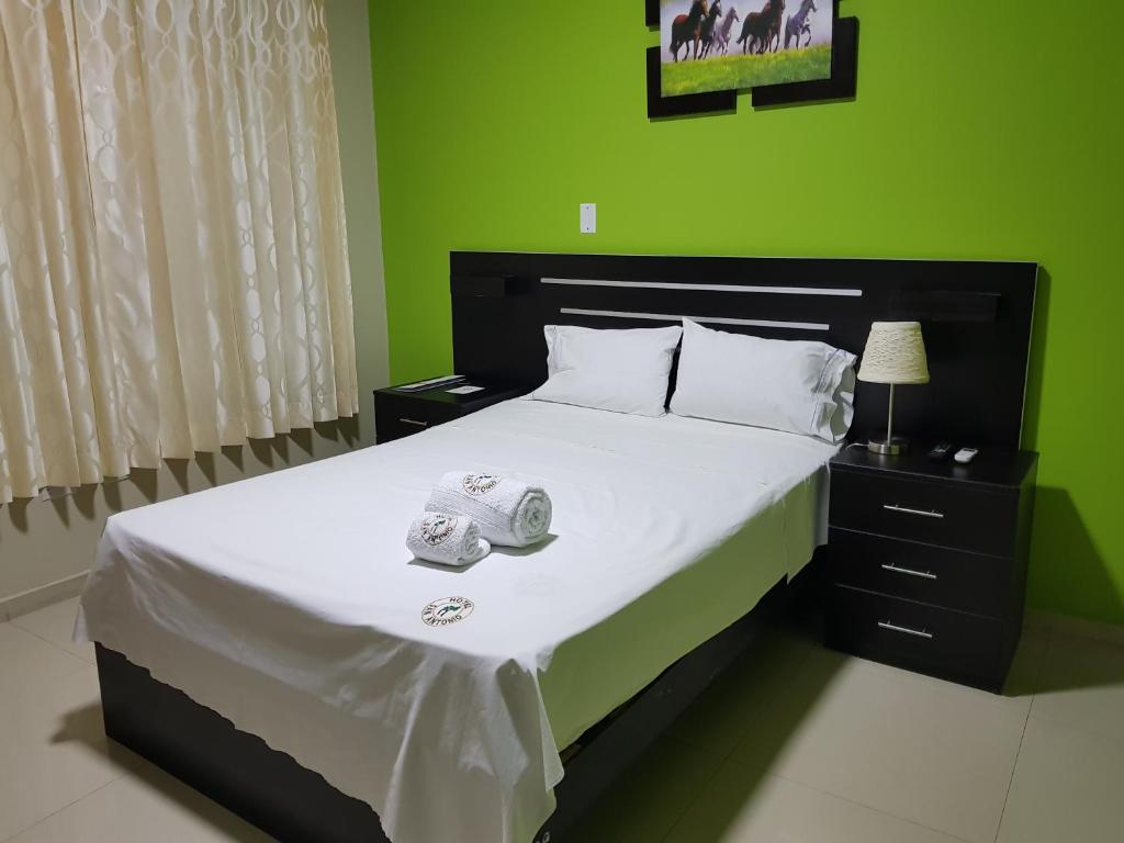 Hotel San Antonio photo 3