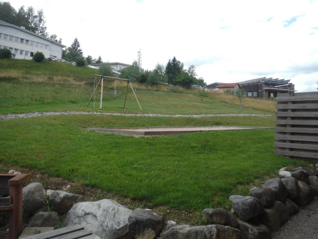 Les airelles photo 3
