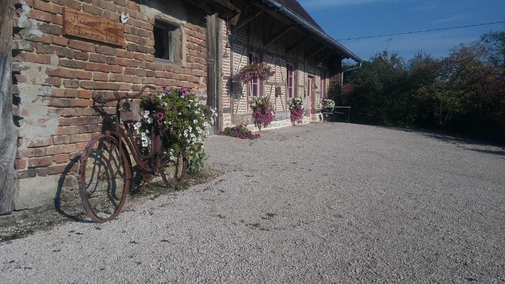 Chezlesgoyp photo 4