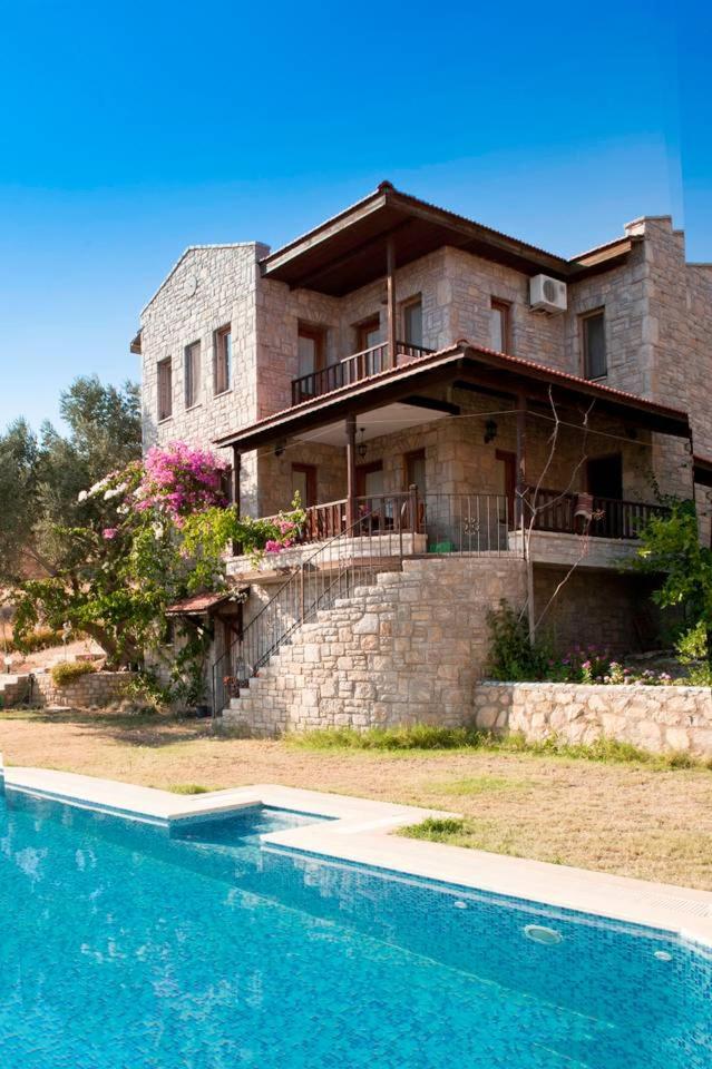 Villa Olive Garden photo 1