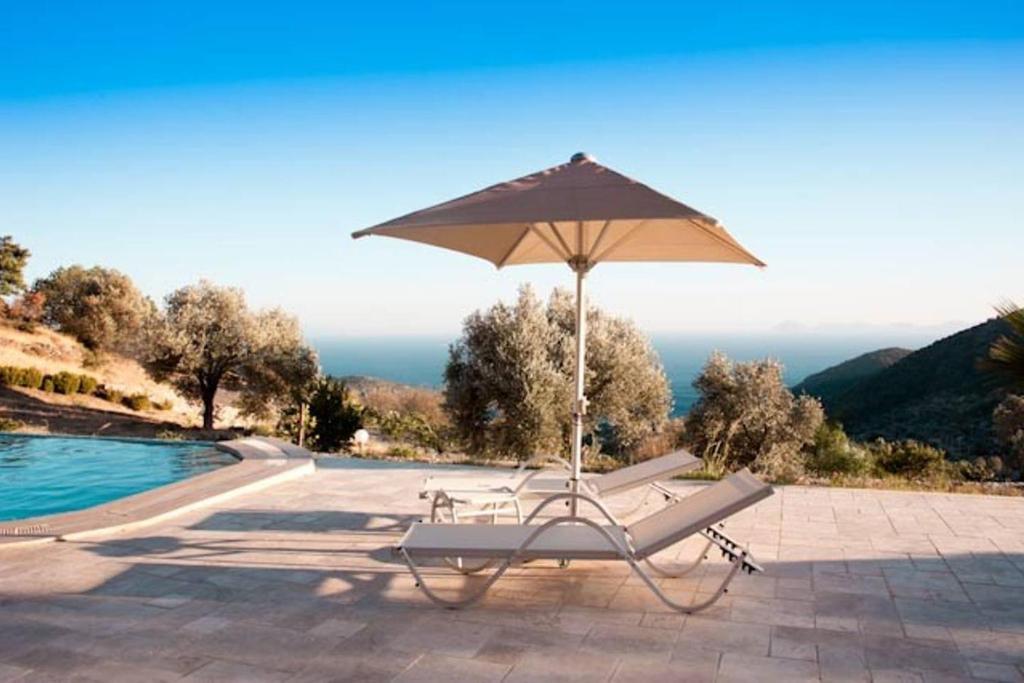 Villa Olive Garden photo 2