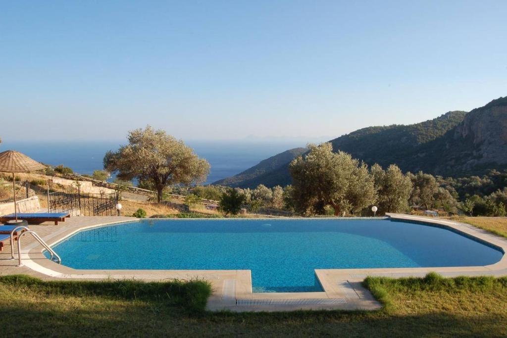 Villa Olive Garden photo 3