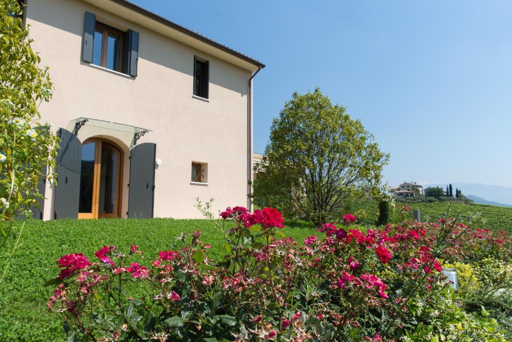 Villa Prosecco photo 4