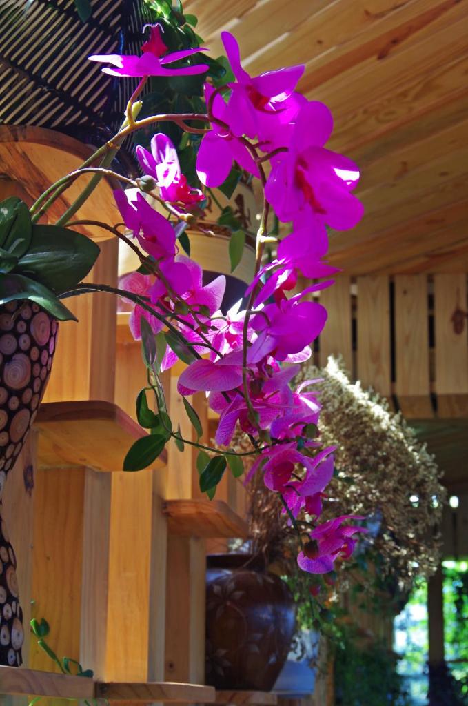 Ngoc Chau Phu Quoc Hotel