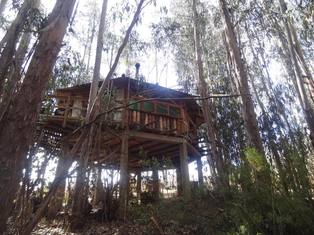Cabanas Curi-Huapi photo 1