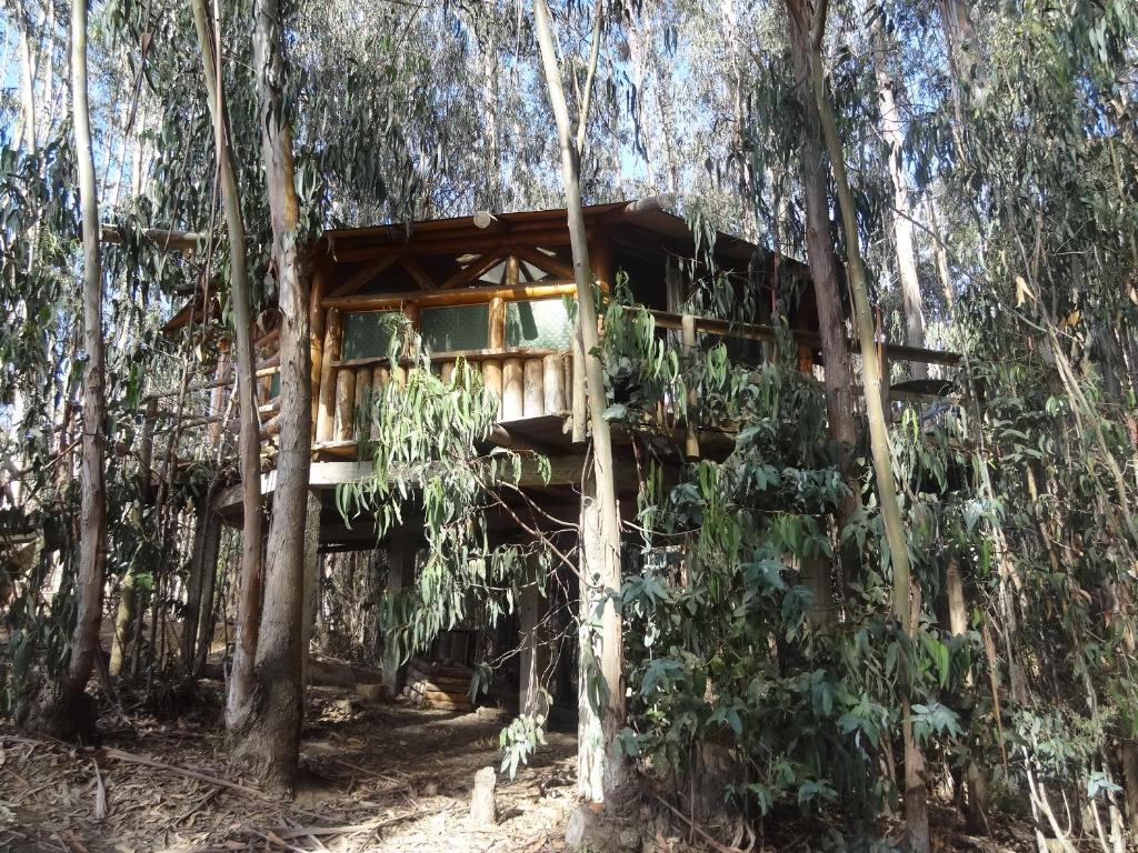 Cabanas Curi-Huapi photo 3