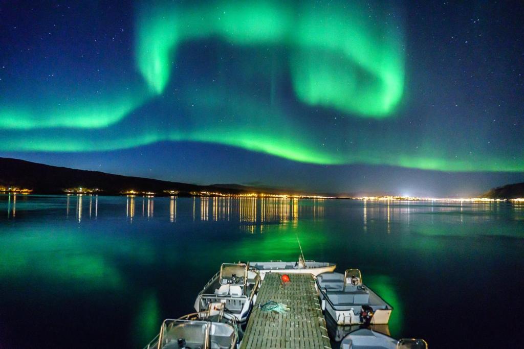 Vikran Vacation: Sea fishing and Northern Lights photo 4