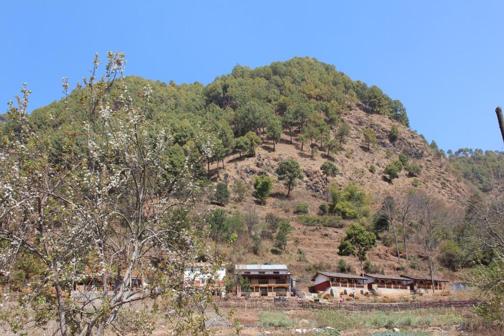 Solid Rock - Lodge & Restaurant photo 1