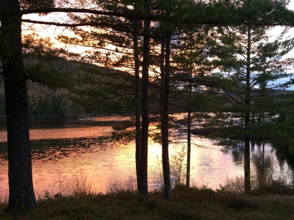Club Tadoussac photo 3