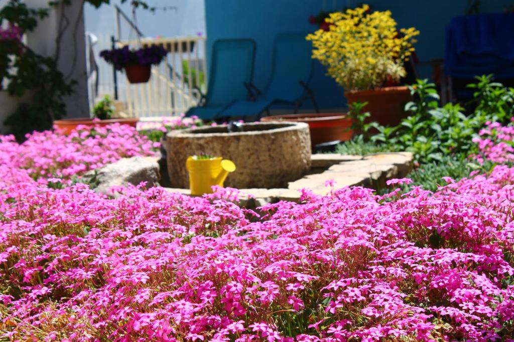Apartments Yerkovic photo 1