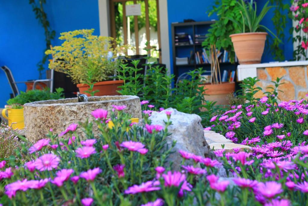 Apartments Yerkovic photo 3