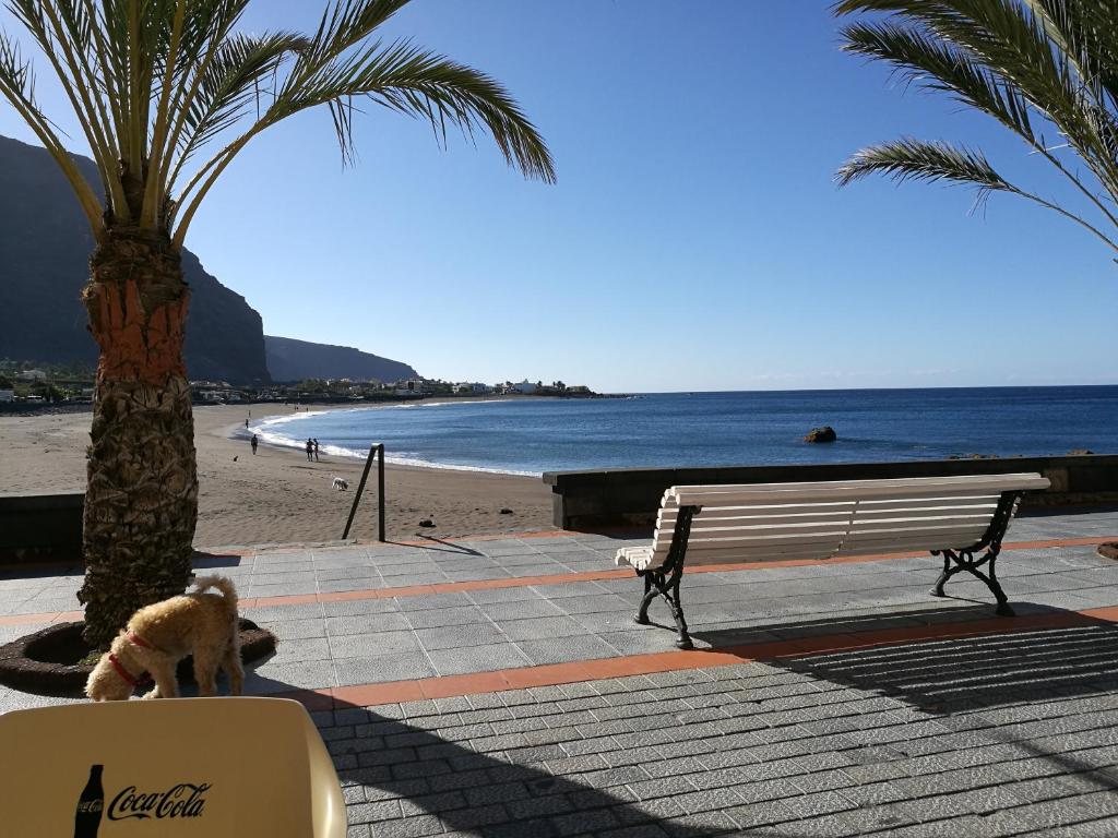 Apartamentos Playamar photo 4