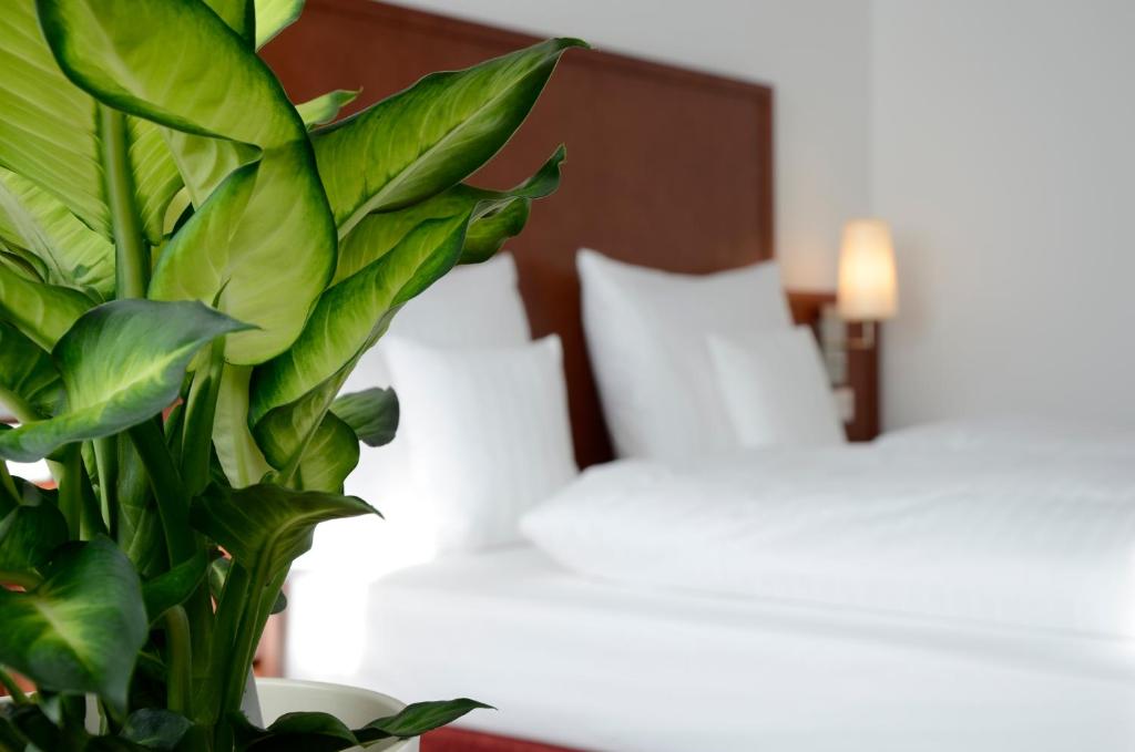 Одноместный (Одноместный номер), Hotel Weichandhof by Lehmann Hotels