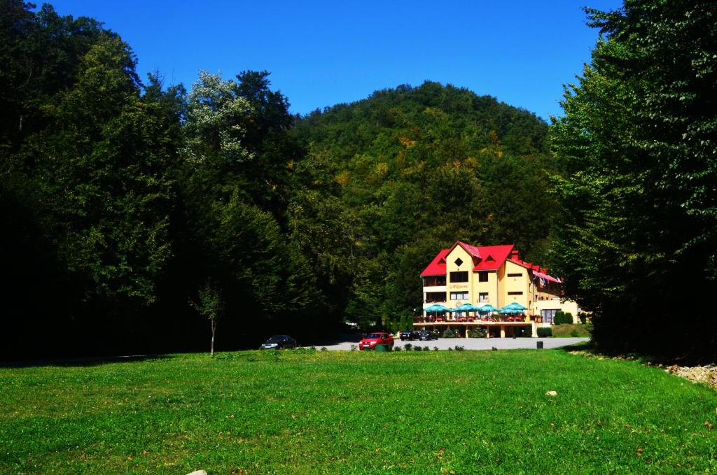 Pensiunea Magura photo 1