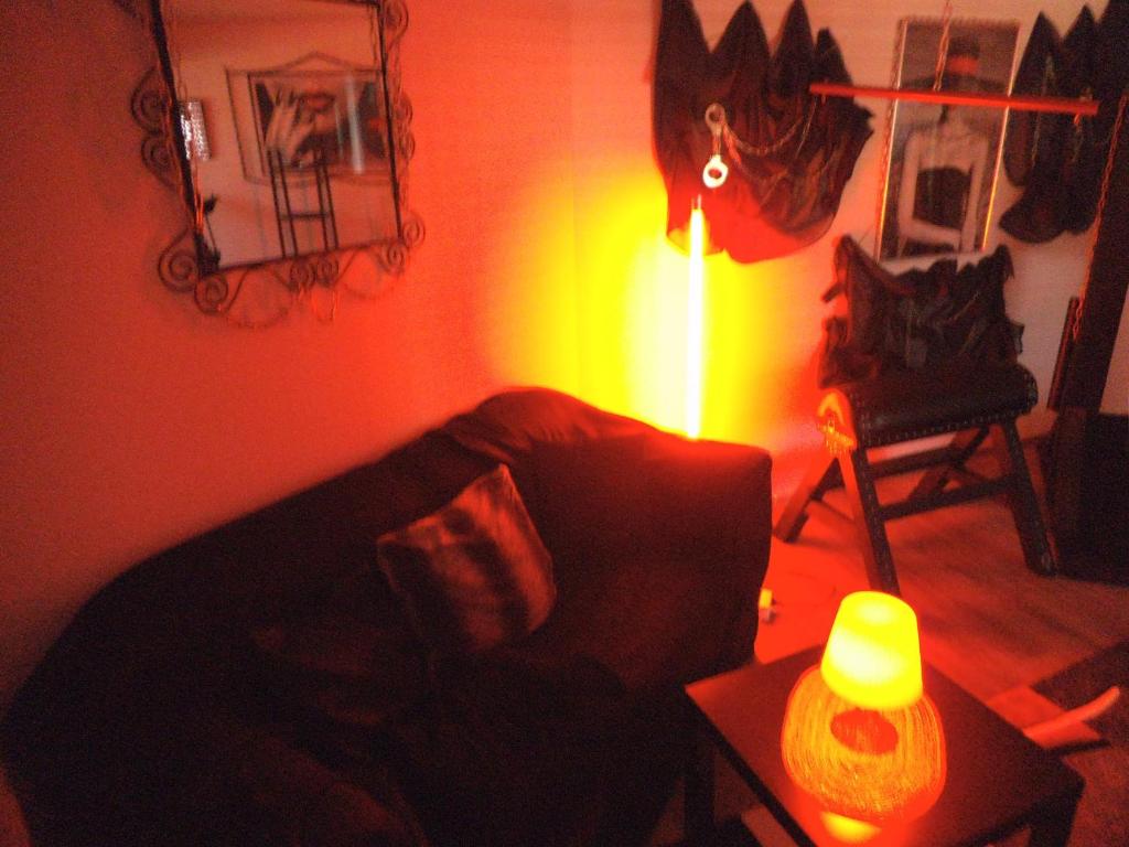 Exclusiv-Mietapartment (BDSM)-Heidelberg photo 1
