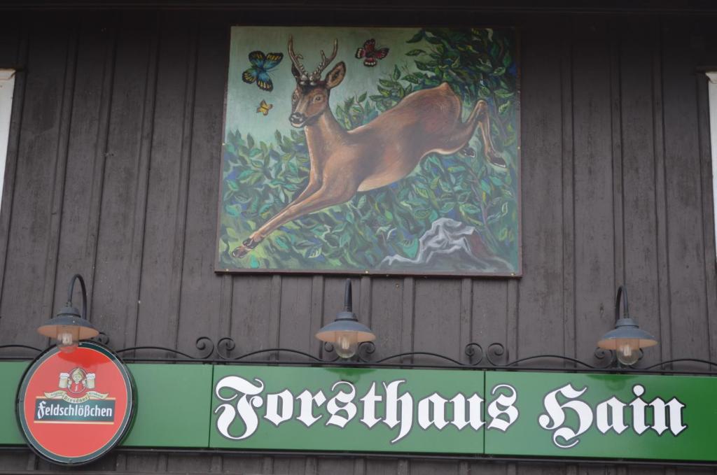 Restaurant & Pension Forsthaus Hain photo 3
