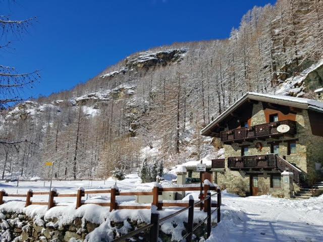 Chalet La Garde photo 3