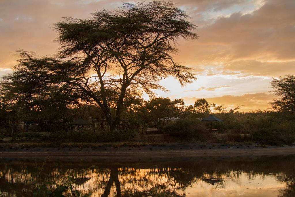 Ziwa Bush Lodge photo 2