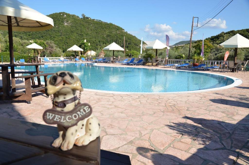 Mermaid Pool Studios and Bar photo 3
