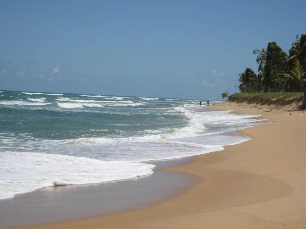 Paribahia photo 3