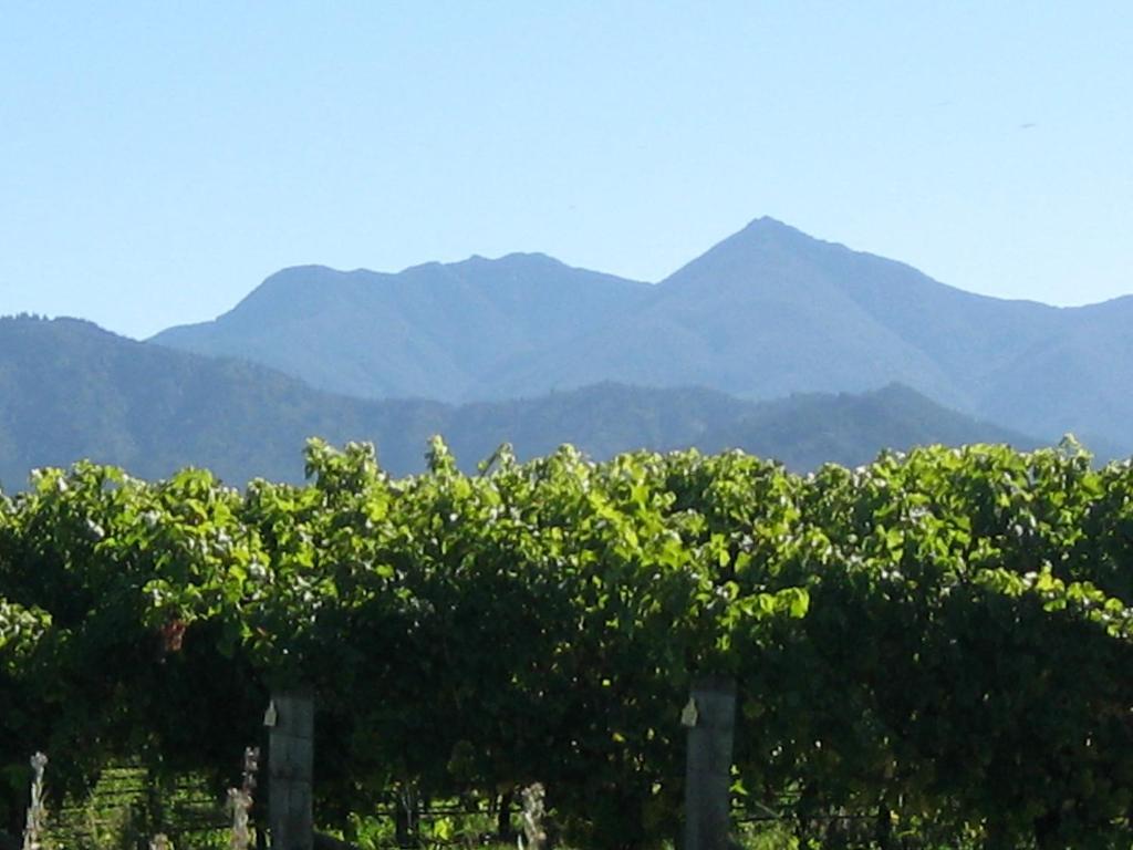 Korohi Vineyard BnB photo 4