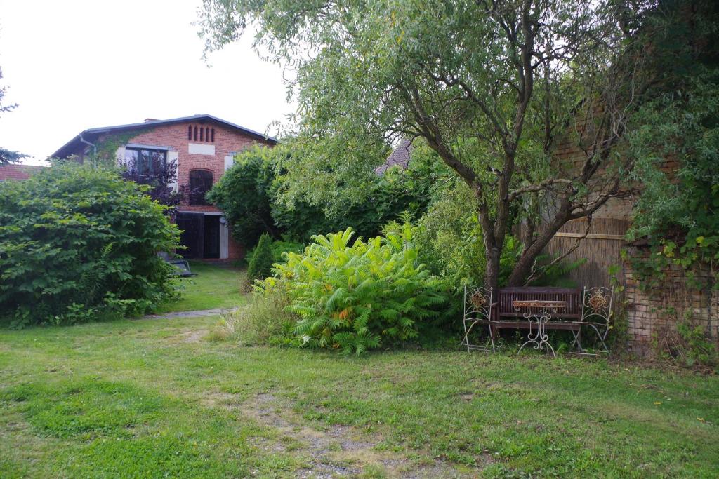 Haus am See in Kleinzerlang photo 2