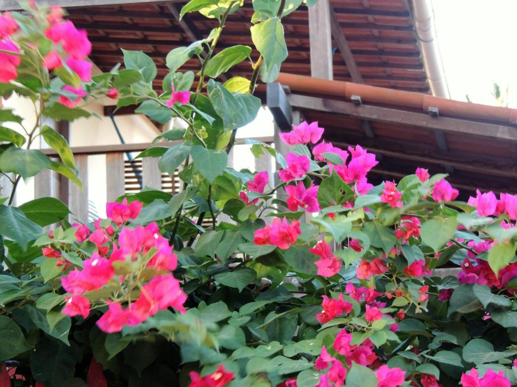 Nossa Casa em Jeri photo 2