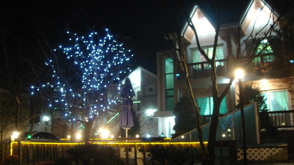 Shinevalley Pension & Hotel photo 1