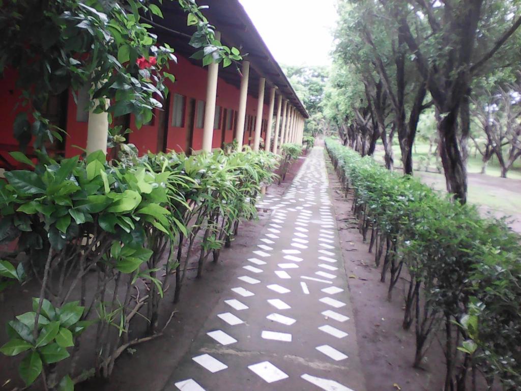 Hotel California photo 4