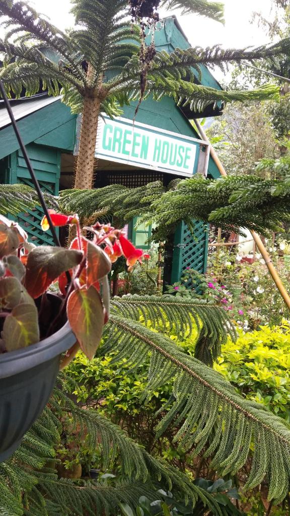 Green House photo 1