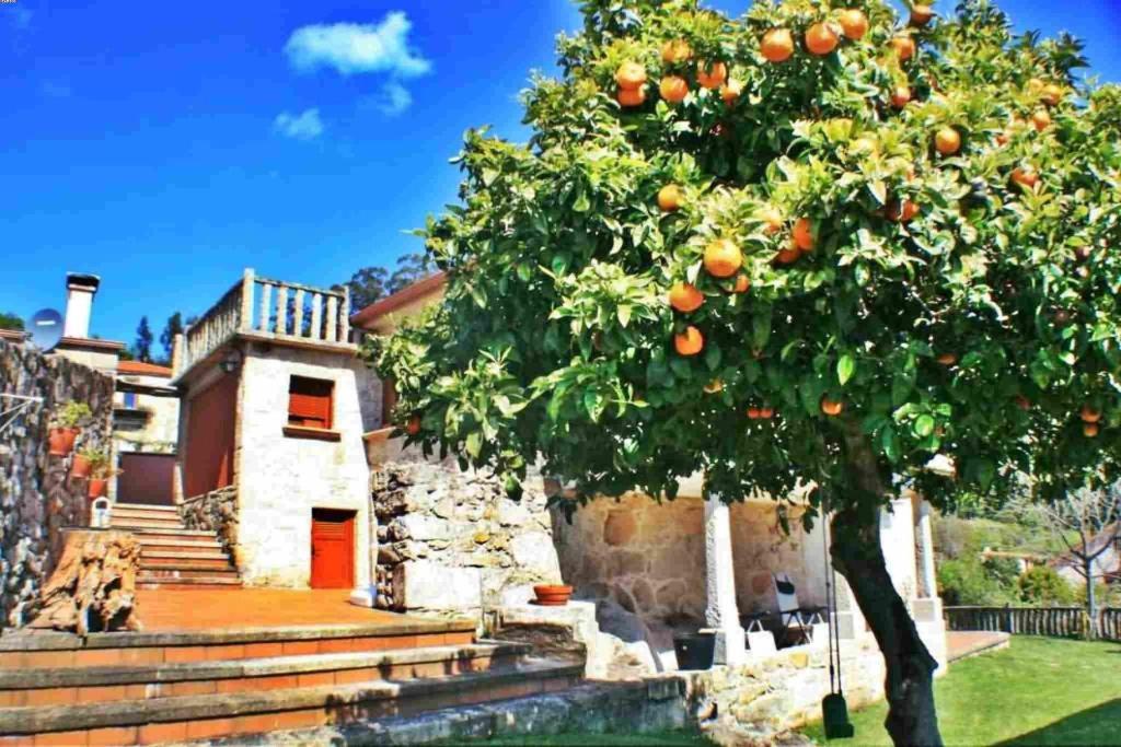 Casa Combarro photo 4
