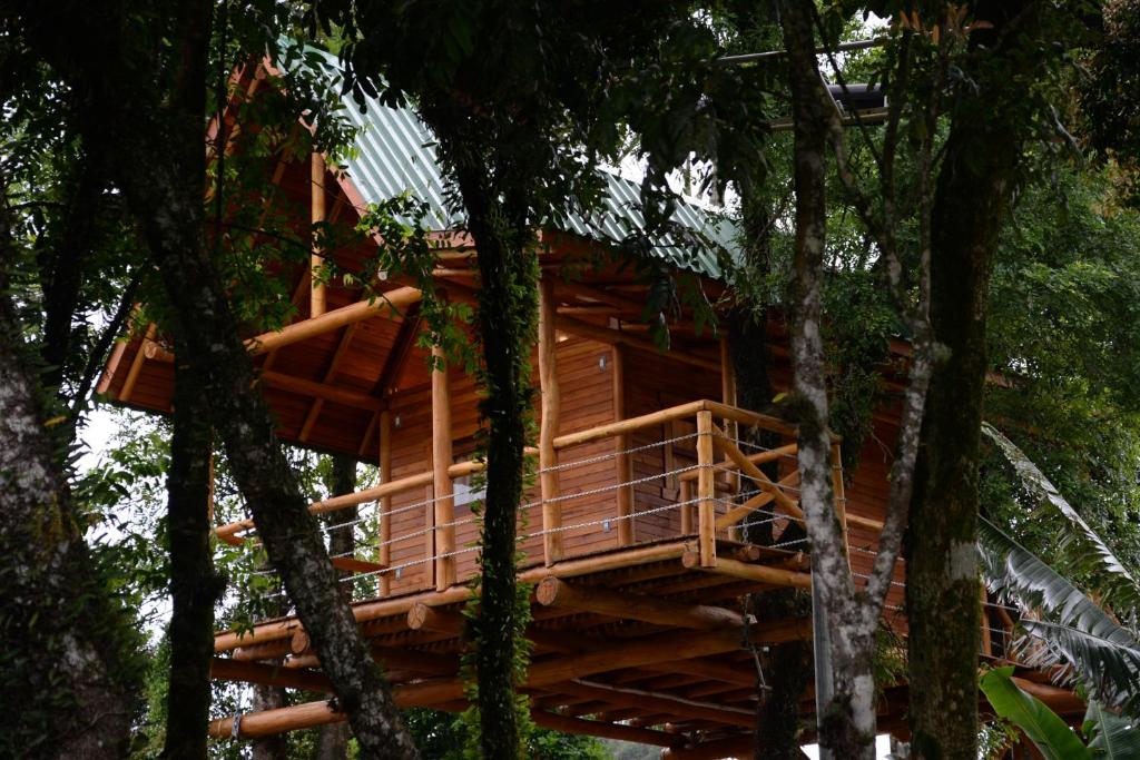 Casa na Árvore photo 1