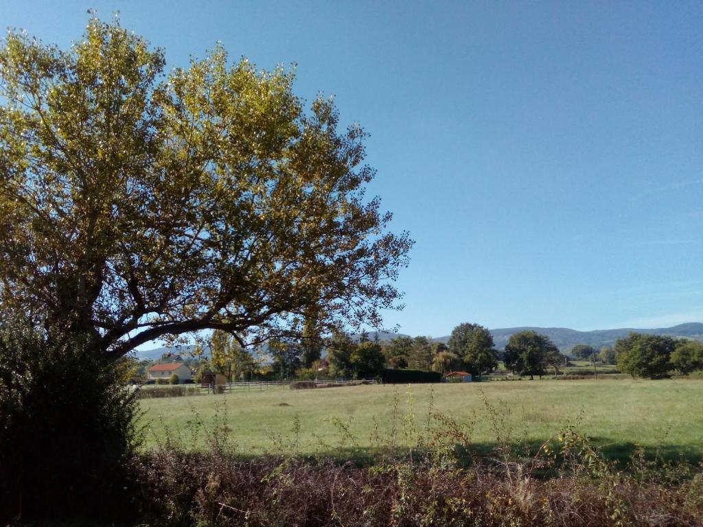 La Petite Maison photo 2