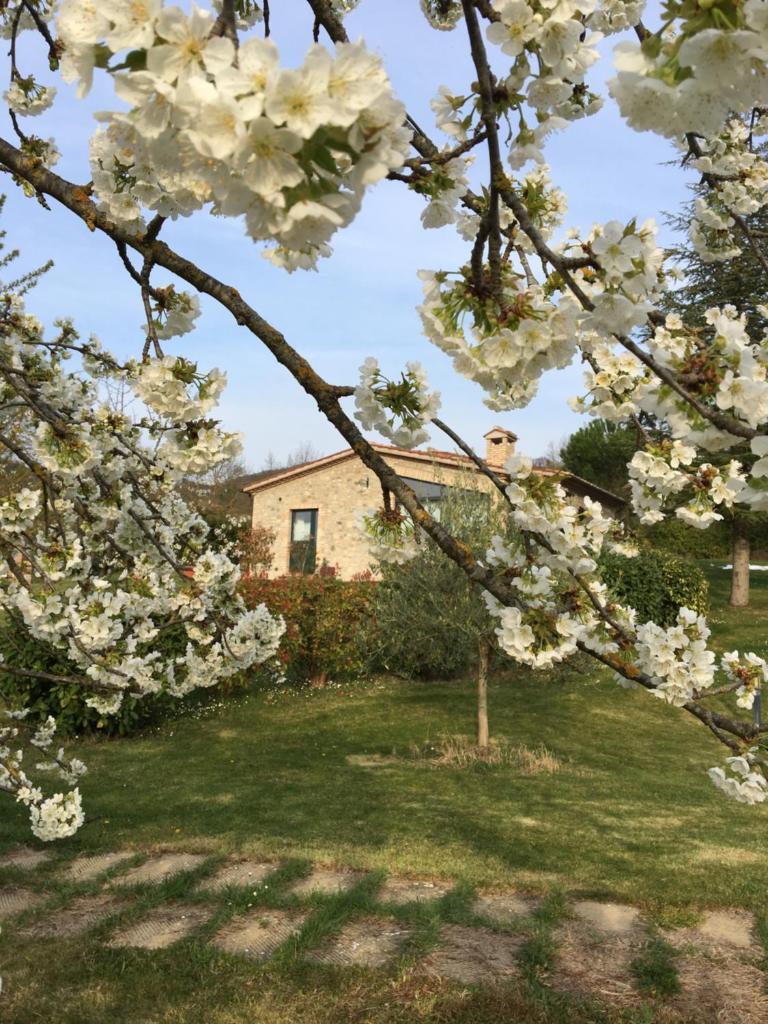 Agricola Caicucci photo 1