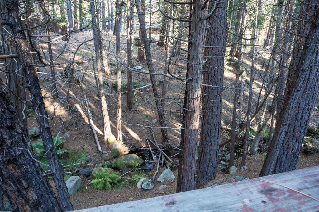 4 Pine Creek Cabin photo 3