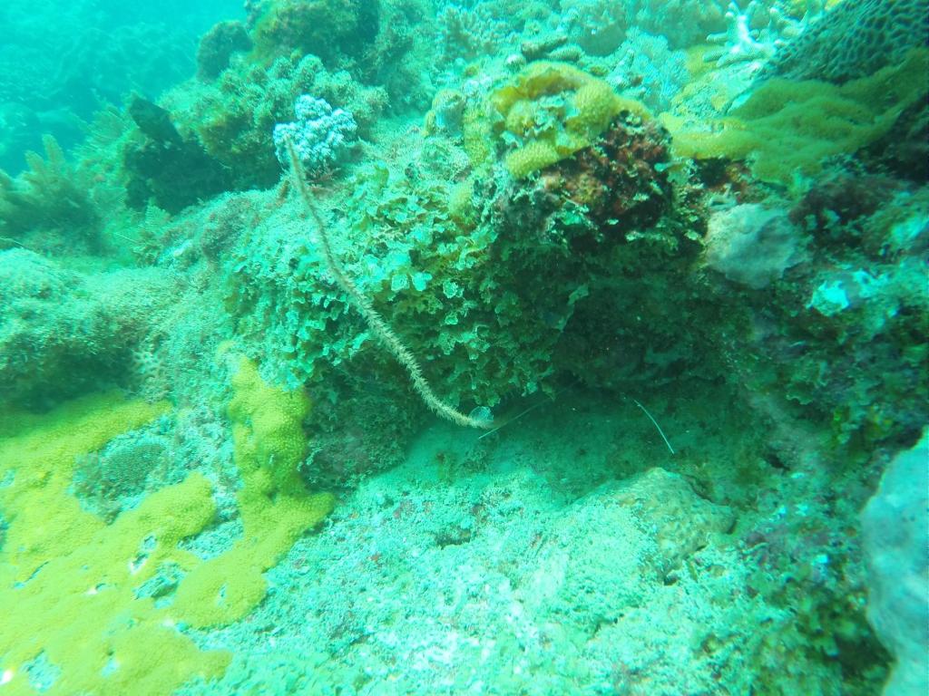 Ankazoberavina photo 2