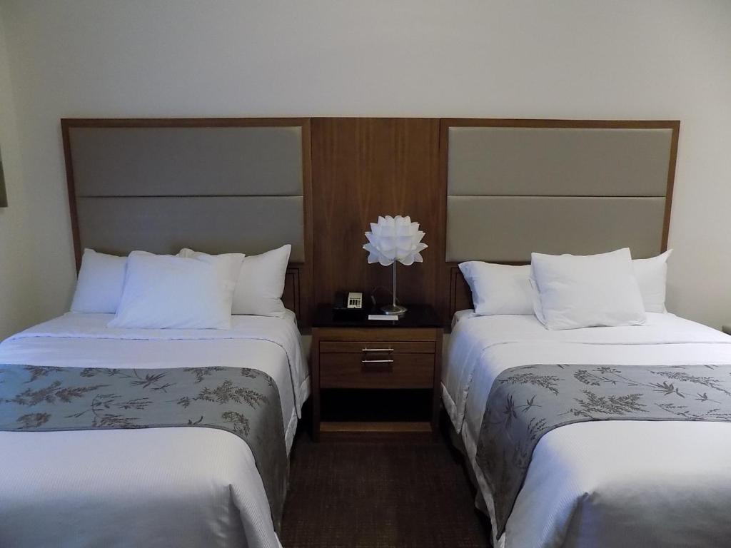 Четырехместный (Четырехместный номер с собственной ванной комнатой), Americana Inn