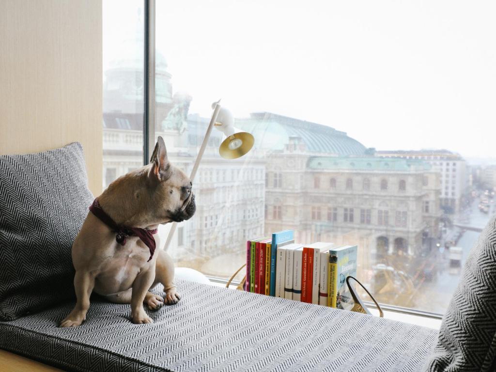 Трехместный (Двухместный номер Делюкс с 1 кроватью), The Guesthouse Vienna